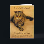 Funny Cat Husband Birthday Card<br><div class="desc">Birthday card for husband featuring a big cute kitty with a special birthday greeting. Personalize the text to create your own unique message.</div>