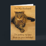 Funny Cat Husband Birthday Card<br><div class="desc">Birthday card for husband featuring a big cute kitty with a special birthday greeting. Personalize the text to create your own unique message.</div>