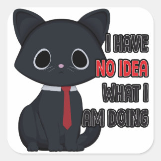 Funny Cat I Have No Idea What I Am Doing Sticker
