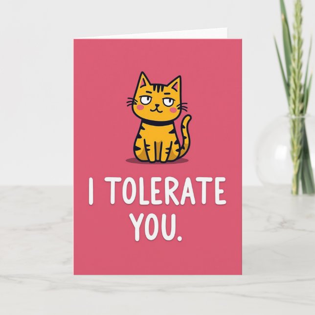 Funny Cat I Tolerate You Card (Front)