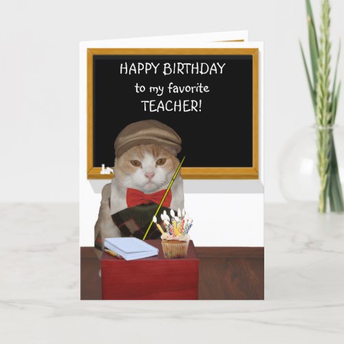 Funny Cat in Argyle Sweater Birthday for Teacher Card