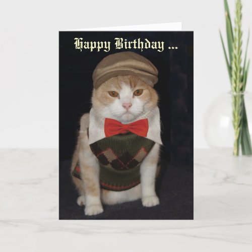 Funny Cat in Argyle Sweater Customizable Card