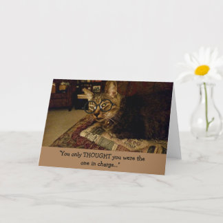 Funny Cat in charge (blank inside) Card