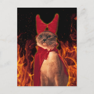 Funny Cat in Halloween Devil Costume Postcard