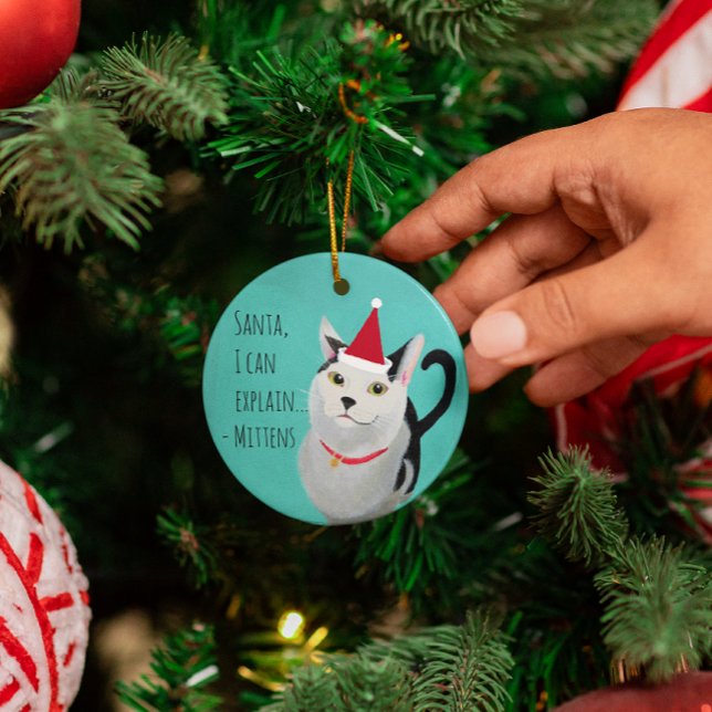 Funny Cat in Santa Hat Personalized Ornament (Creator Uploaded)