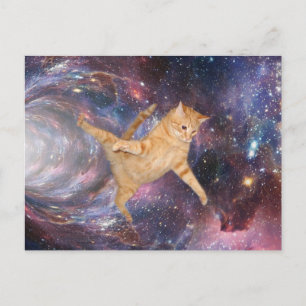 Funny Cat in Space Galaxy Worm Hole Postcard