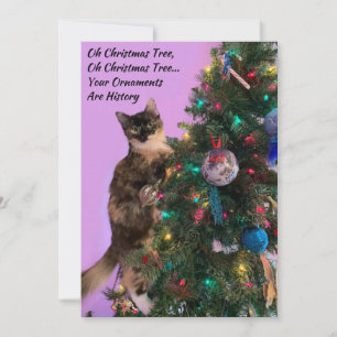 Funny Cat in Tree Eyeing Ornaments Holiday Card