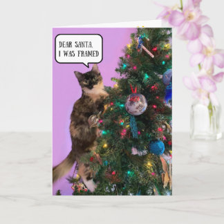 Funny Cat in Trouble with Santa Christmas  Card
