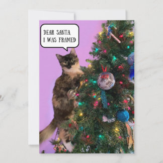 Funny Cat in Trouble with Santa Christmas  Holiday Card