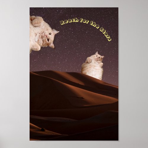 Funny Cat Inspiration Poster