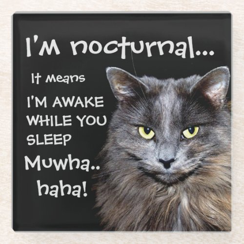 Funny Cat is Nocturnal Evil Laugh  Glass Coaster