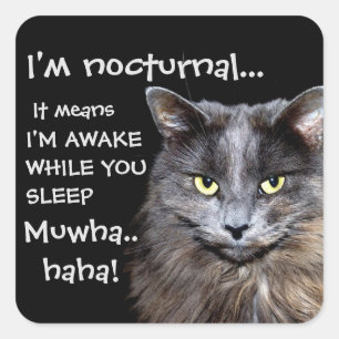 Funny Cat is Nocturnal Evil Laugh  Square Sticker