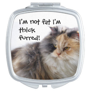 Funny Cat is Not Fat! Thick Furred Compact Mirror