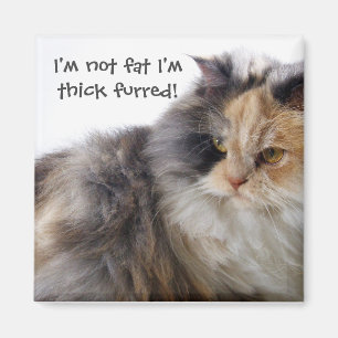Funny Cat is Not Fat! Thick Furred Magnet