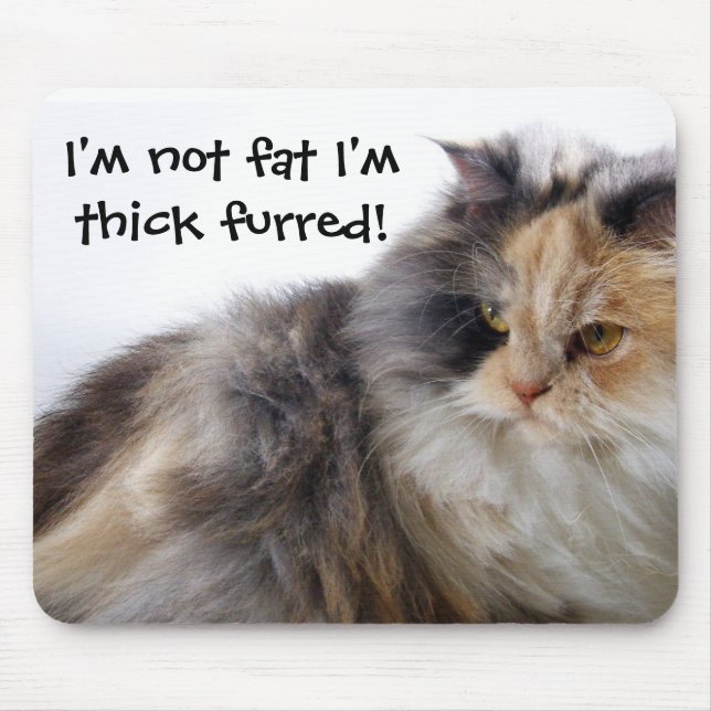Funny Cat is Not Fat! Thick Furred Mouse Pad (Front)