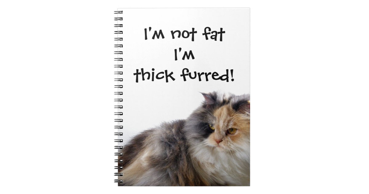 funny fat cat pictures with quotes