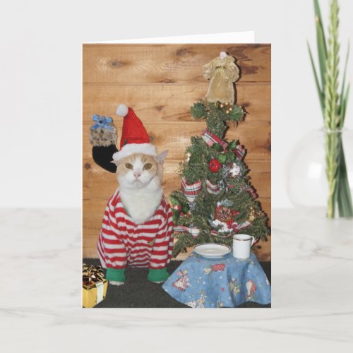 Funny CatKitty Christmas Morning Holiday Card