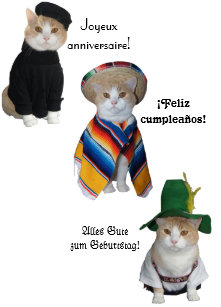 Funny French Birthday Gifts On Zazzle