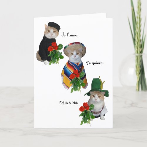 Funny CatKitty Love in Four Languages Valentine Holiday Card