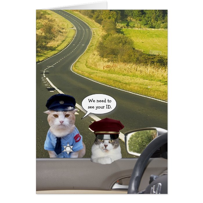 Funny Cat/Kitty Officers Birthday Card