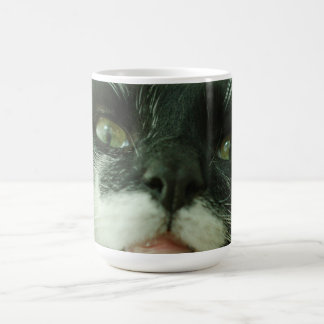 Funny Cat Kitty Pet Photo Coffee Mug