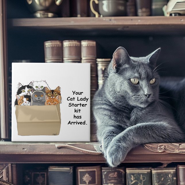 Funny Cat Lady Starter Kit Humor White Ceramic Tile (Creator Uploaded)