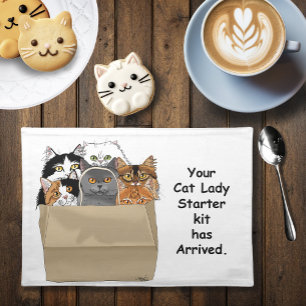 Funny Cat Lady Starter Kit Humor White Cloth Placemat