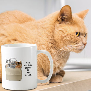Funny Cat Lady Starter Kit Humor White Coffee Mug