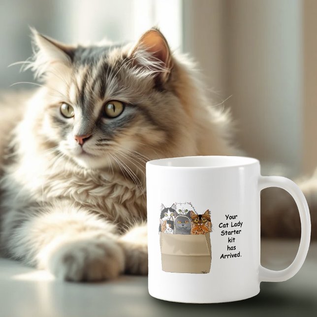 Funny Cat Lady Starter Kit Humor White Coffee Mug (Creator Uploaded)