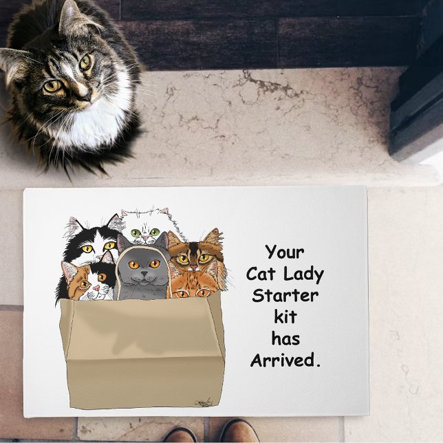 Funny Cat Lady Starter Kit Humor White Doormat (Creator Uploaded)