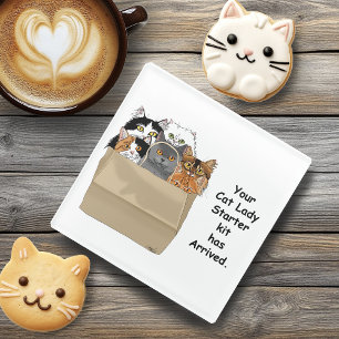 Funny Cat Lady Starter Kit Humor White Glass Coaster