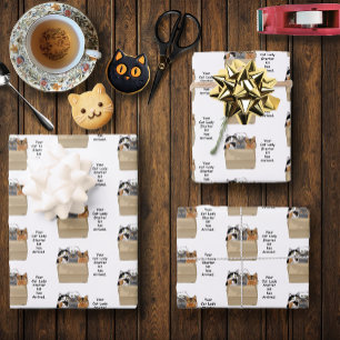 Funny Cat Lady Starter Kit Humor White Wrapping Paper Sheets