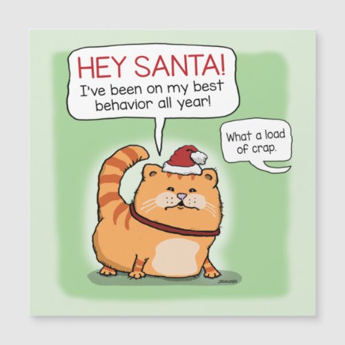 Funny Cat Lies to Santa Claus Christmas