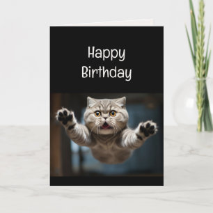 Funny Cat Lover Birthday Animal Card
