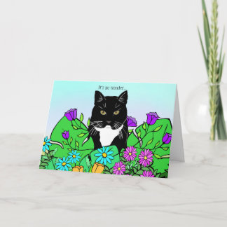 Funny Cat Lover Birthday Card