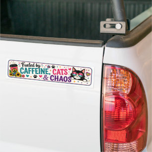 Funny Cat Lover Bumper Sticker