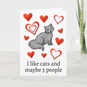 Funny Cat Lover Happy Valentines Day Greeting Card