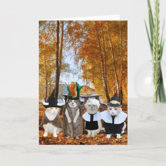 Funny Cat Lover Thanksgiving Card