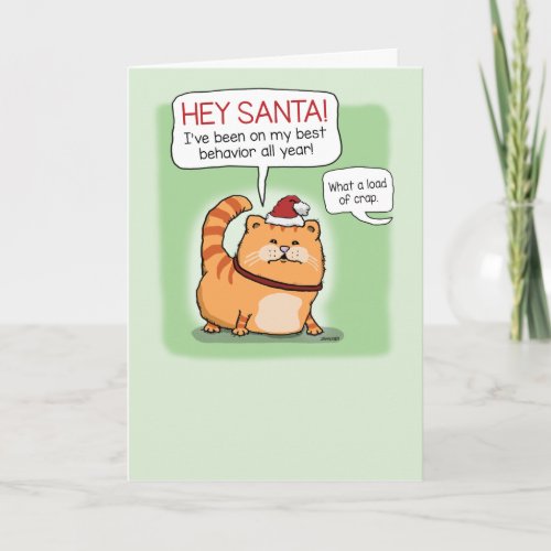 Funny Cat Lying to Santa Claus Christmas Card