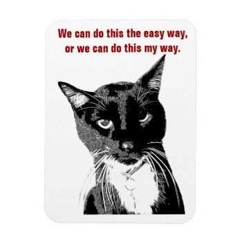 Funny Cat Magnet by WeAreBlackCatClub at Zazzle