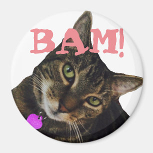 Funny Cat Magnet