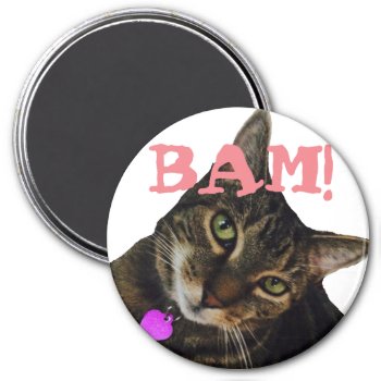 Funny Cat Magnet by Mikeybillz at Zazzle