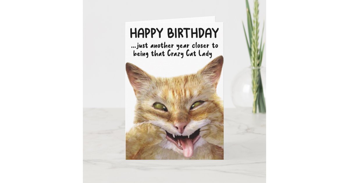 funny cat birthday cards