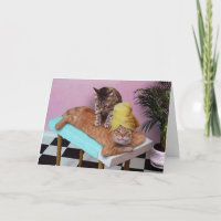 Funny Cat Massage Birthday