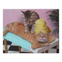 Funny Cat Massage