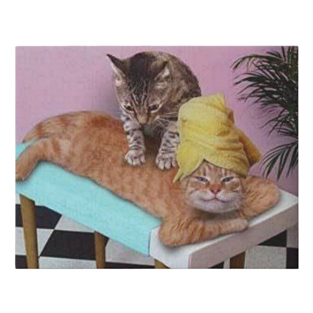 Funny Cat Massage Faux Canvas Print (Front)