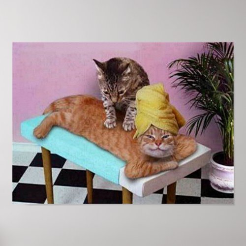 Funny Cat Massage Poster