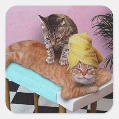 Funny Cat Massage Square Sticker at Zazzle