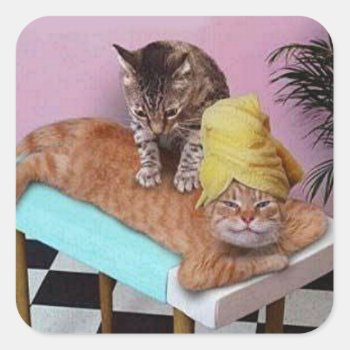 Funny Cat Massage Square Sticker by stargiftshop at Zazzle