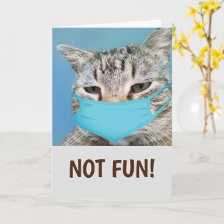 Funny Cat Medical Get Well Card